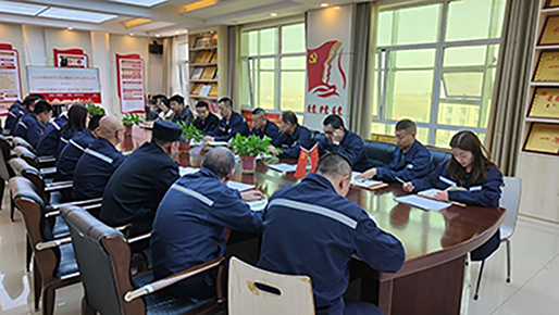 多蒙德化工党支部召开2024年度组织生活会暨民主评议党员大会