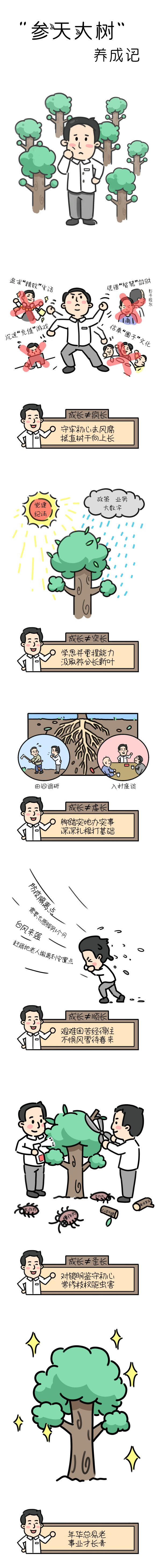 参天大树养成记.png