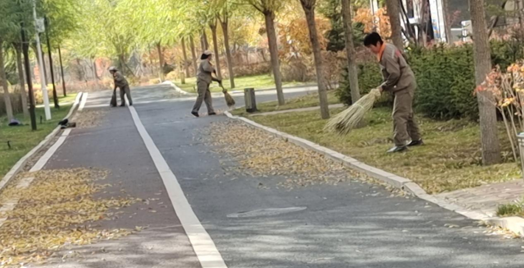 微信图片_20231102101805.png